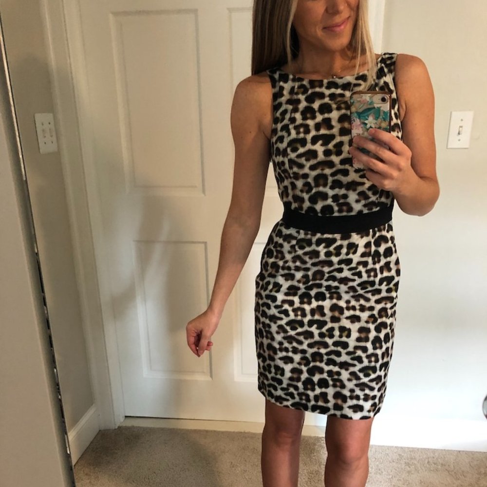 Leopard Shift Dress